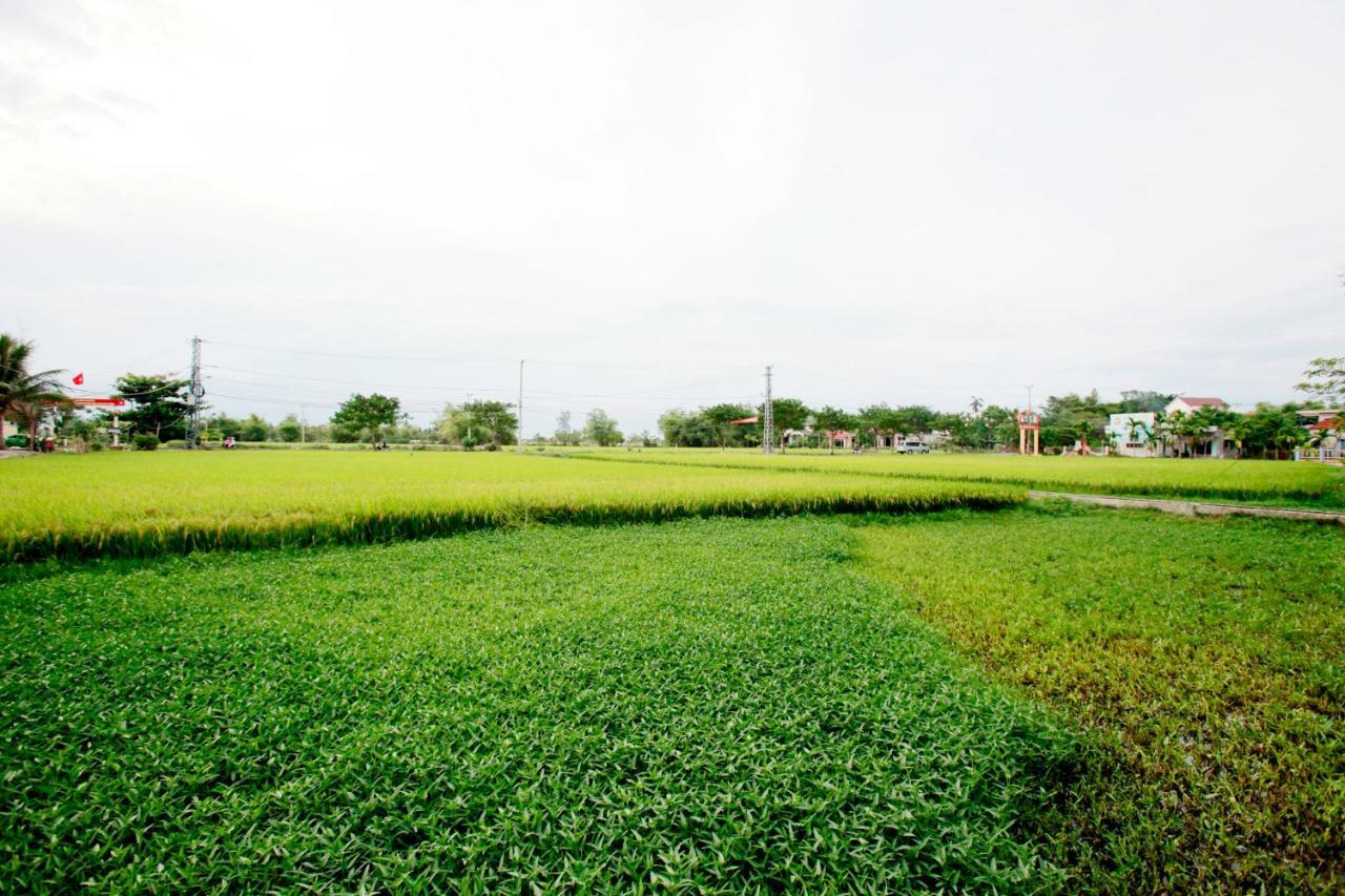 Rice Flower Homestay Hội An Extérieur photo